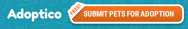 Adoptico